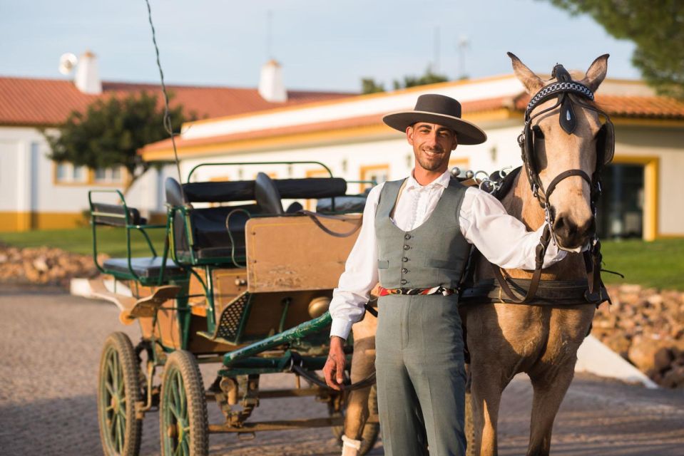 From Lisbon: The Best of Alentejo Day Trip All Inclusive - About the Alentejo Region