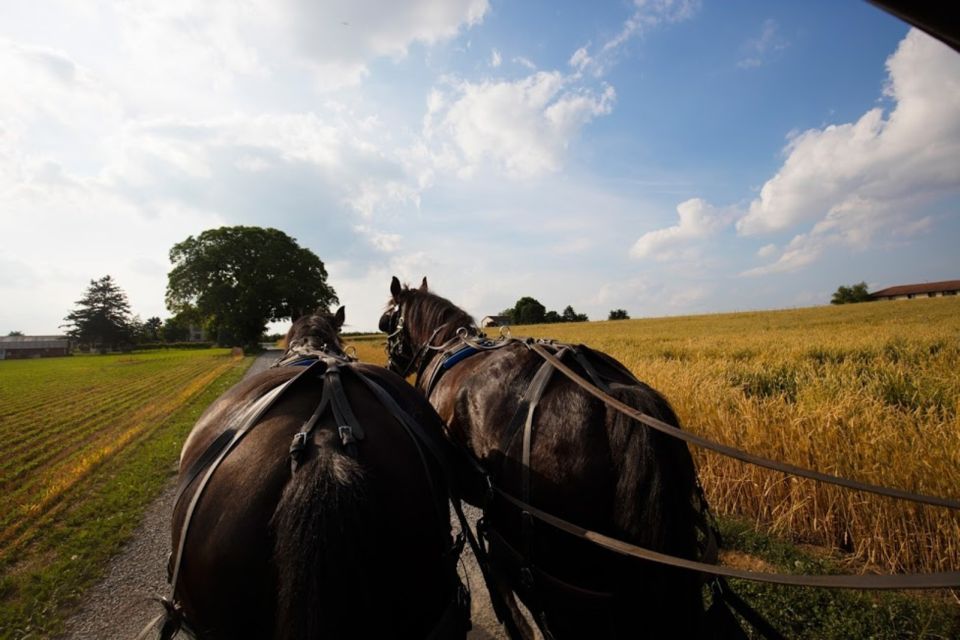 From New York City: Philadelphia and Amish Country Day Trip - Transportation and Language Options