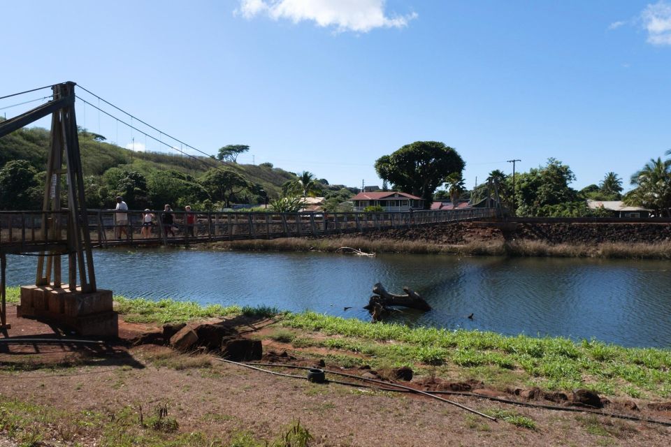 From Oahu: Kauai Waimea Canyon and Kokee State Park Tour - Hiking in Kokee State Park