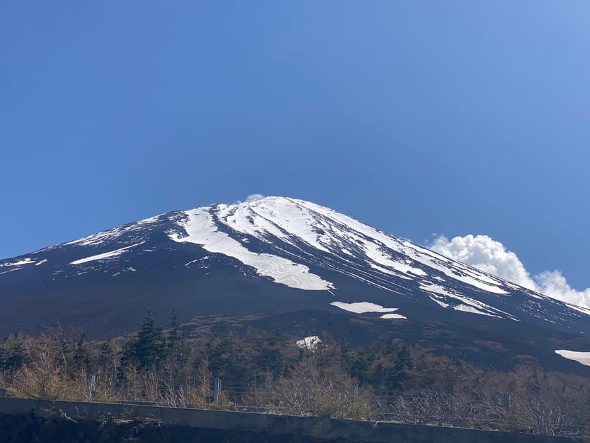 From Tokyo: Mt. Fuji Private Guided Day Tour English Guide - Frequently Asked Questions