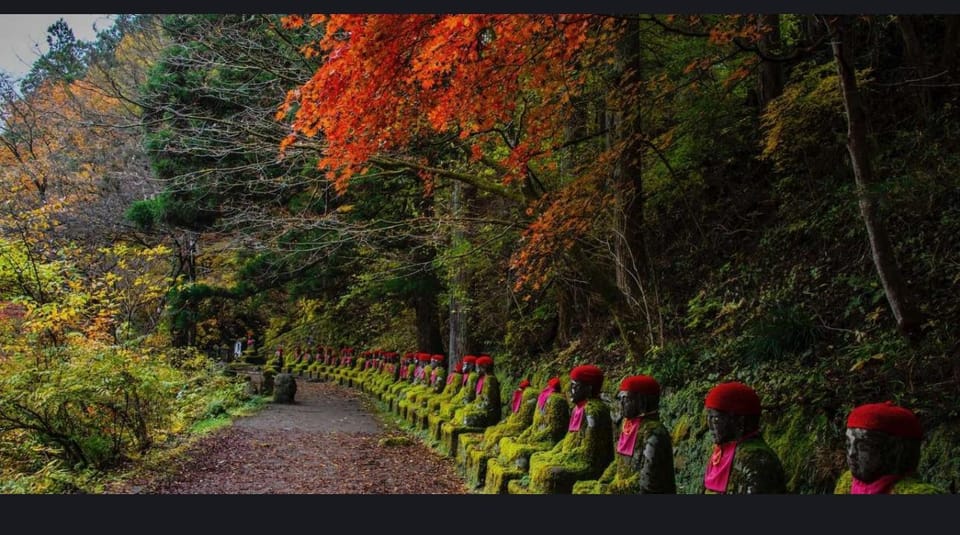 From Tokyo: Nikko 1 Day Private Tour With English Driver - Ideal Participants