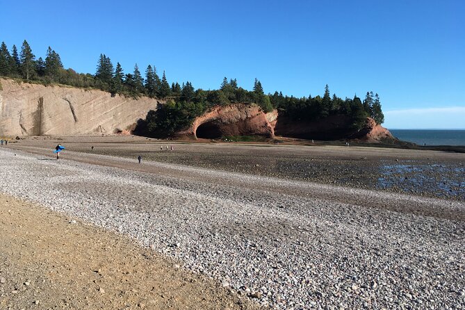 Go Fundy Tours - Customer Reviews