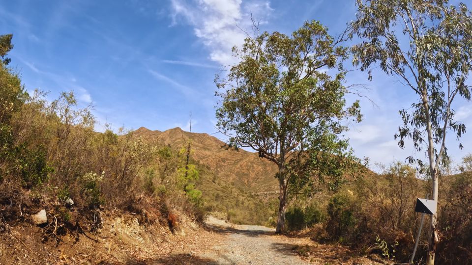 Guided Buggy Tour Mijas - Personal and Intimate Experience