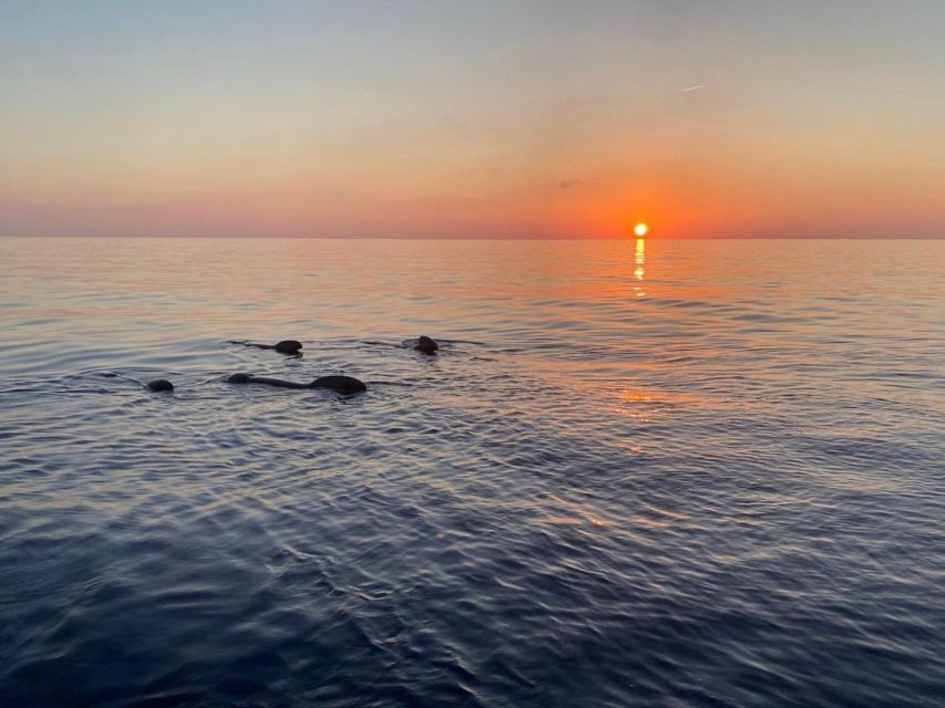 Gulf of Calvi & Sunset Aperitif - Optional Activities