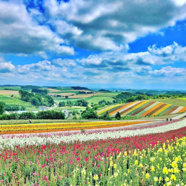 Hokkaido: Biei Blue Pond and Furano Flower Farm Day Trip - Recap