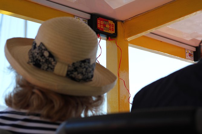 Hop-On Hop-Off Cape Town Canal Cruise - Guided Commentary and Headsets