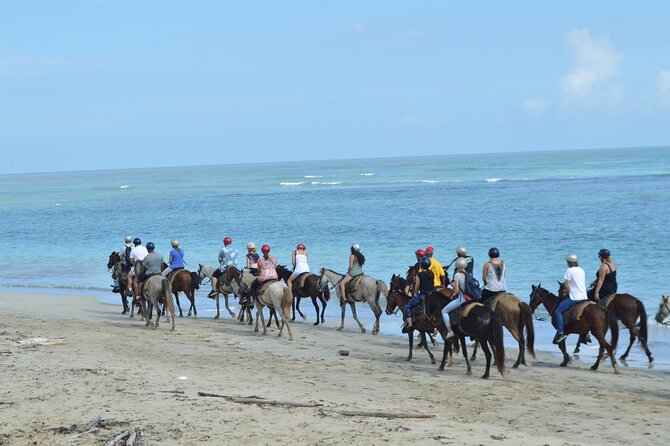 Horseback Riding on the Beach Free Transportation - How to Book