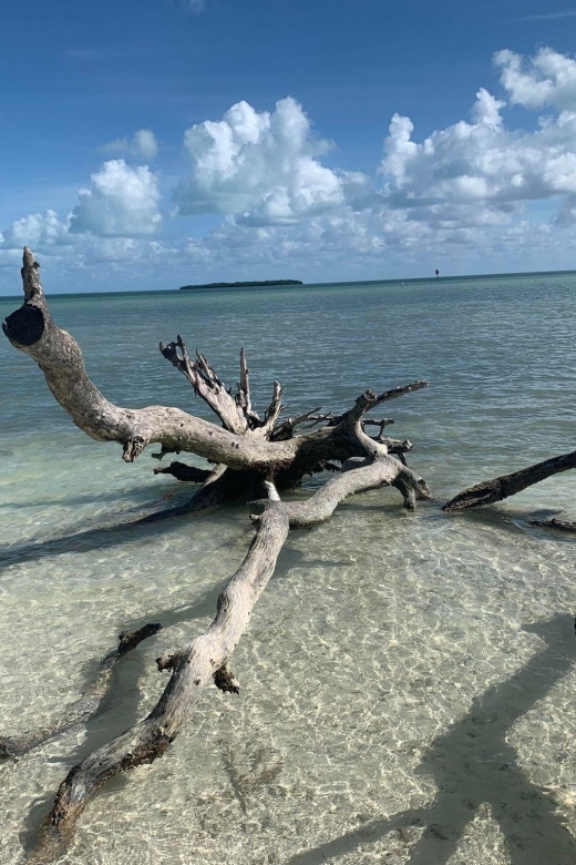 Islamorada: Guided Tour With Local Highlights - Biking on the Old Highway