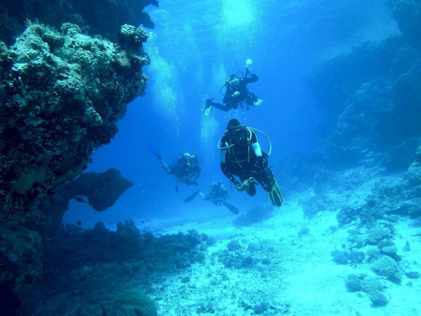 Kefalonia: Beginner Scuba Diving at Agia Efimia Village - Customer Feedback and Ratings