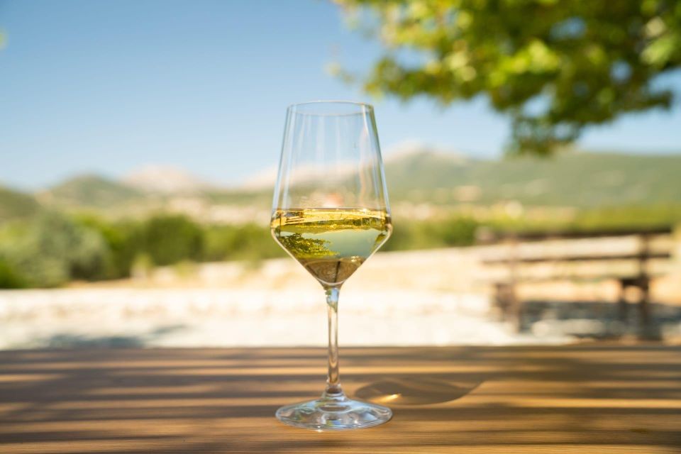 Kefalonia Wine Adventure in 3 Wineries With Tastings - Cancellation Policy