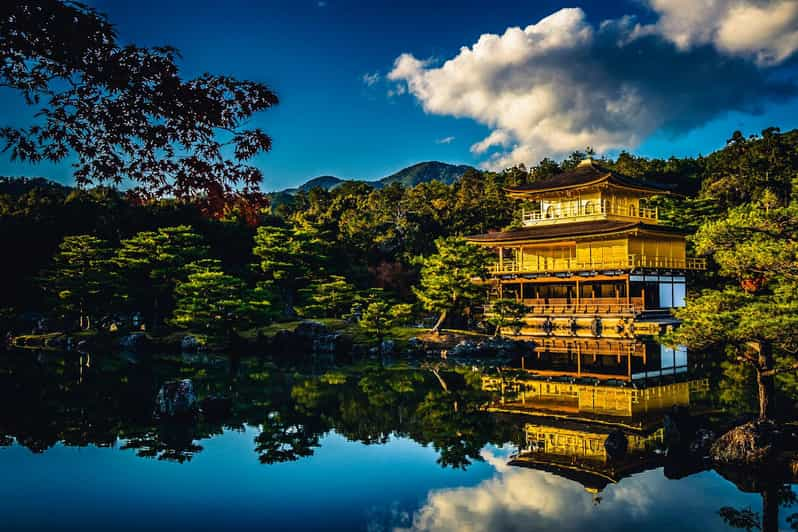 Kyoto: Nara or Osaka Private Customized English Guided Trip - Booking and Payment Options