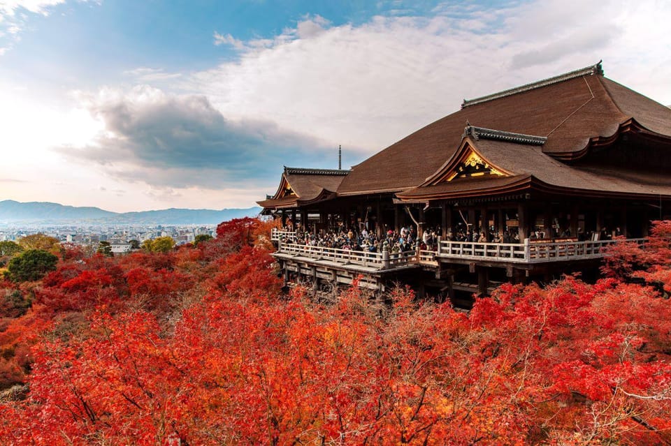 Kyoto/Osaka: Kiyomizu-dera Temple,Nara Park Day Trip - Important Information and Customer Feedback