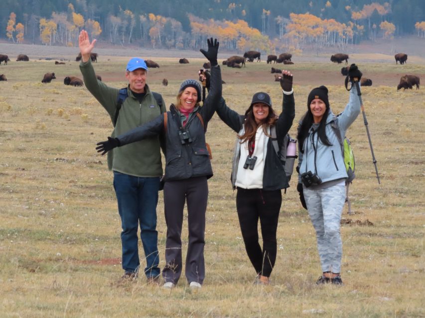 Lamar Valley: Safari Hiking Tour With Lunch - Booking and Additional Information