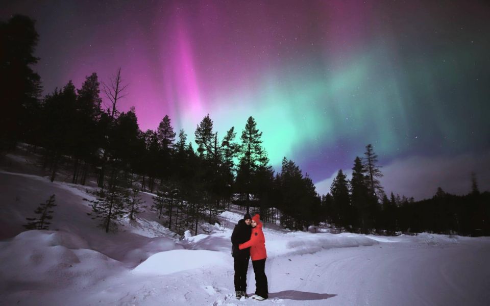 Levi: Aurora Borealis Bus & Snowshoe Tour With Hot Drink - Northern Lights Experience