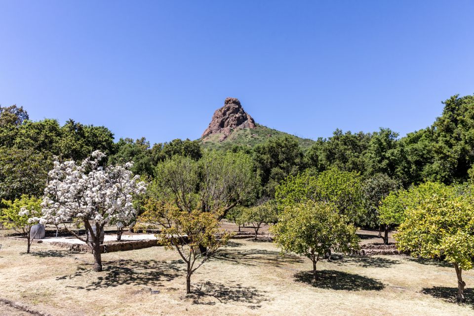 Malibu: Guided Vineyard Hike With Photo Stops and Wine - Winemaking Process