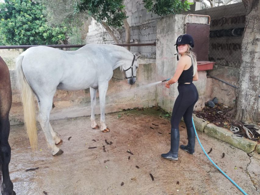 Mallorca: Guided Horseriding Tour of Randa Valley - Post-Ride Horse Care