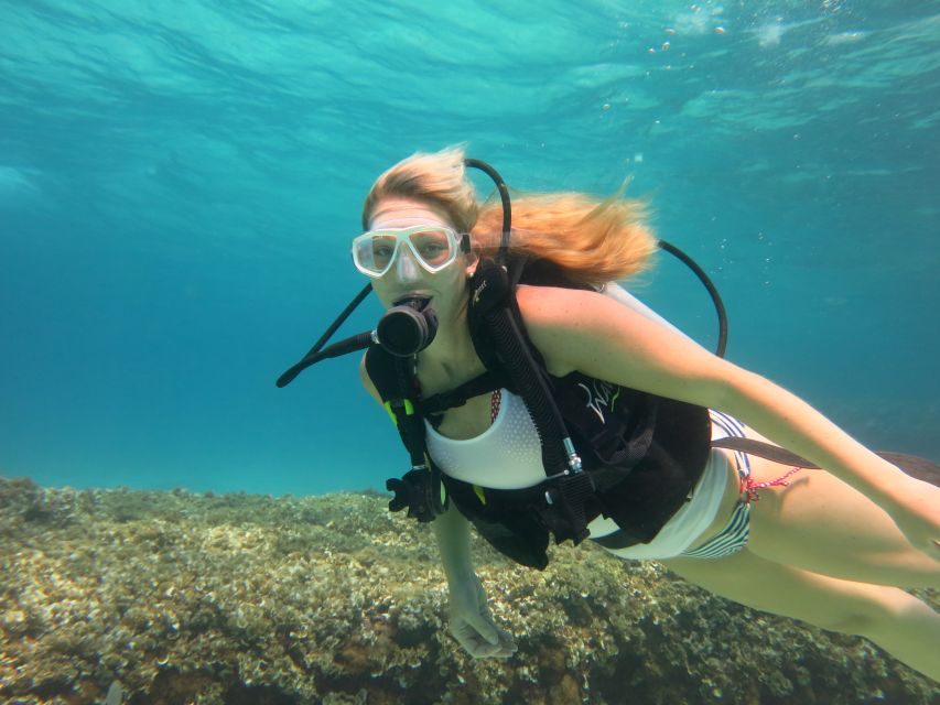 Mallorca: Try Out Scuba Diving in a Marine Nature Reserve - Customer Feedback and Recommendations