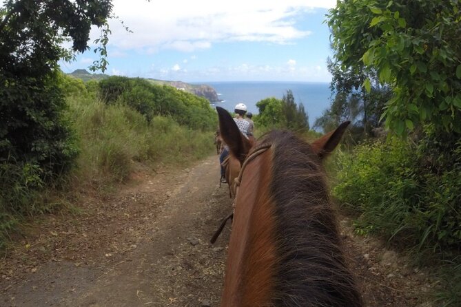 Maui Horseback-Riding Tour - Unique Experiences