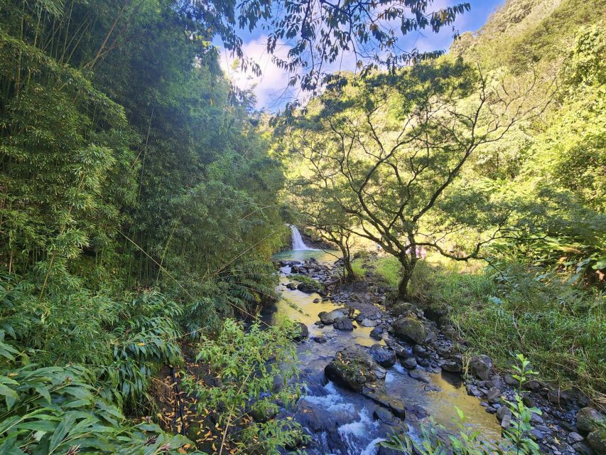 Maui: Private All-Inclusive Road to Hana Tour With Pickup - Trusted Reviews and Savings Available