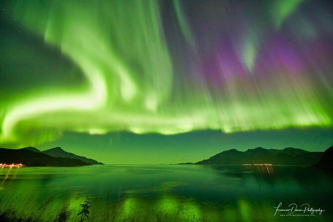 Minivan Northern Lights Excursion (8 Guests per Minivan) - Enjoying the Night Sky