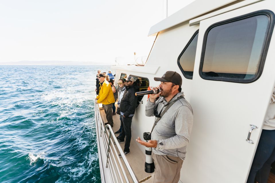 Monterey Bay: Whale Watching Tour - Preparing for the Tour