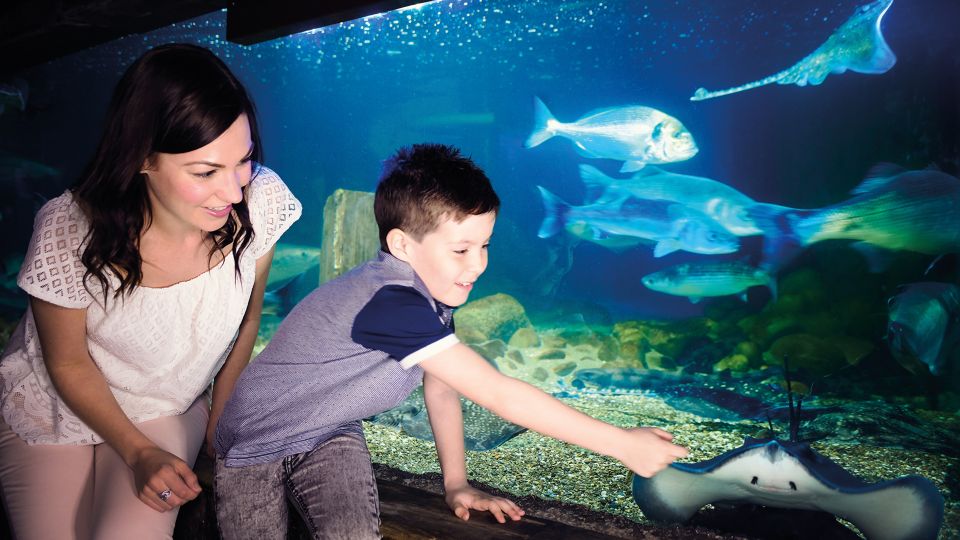 Munich: Day Ticket to Sea Life - Included Amenities and Photos