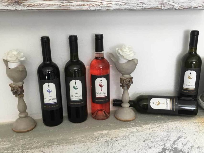 Mykonos: Half-Day Wine Tasting and Snack at a Local House - Booking and Cancellation Policy