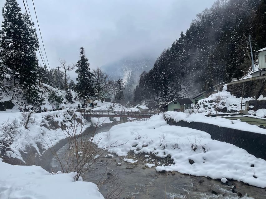 Nagano: Snow Monkey Park, Zenkoji One Day Private Tour - Additional Information