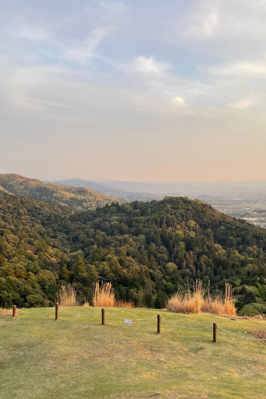 Nara Hiking Tour Review: Buddha, Deer, and Shrines - Suitability and Recommendations