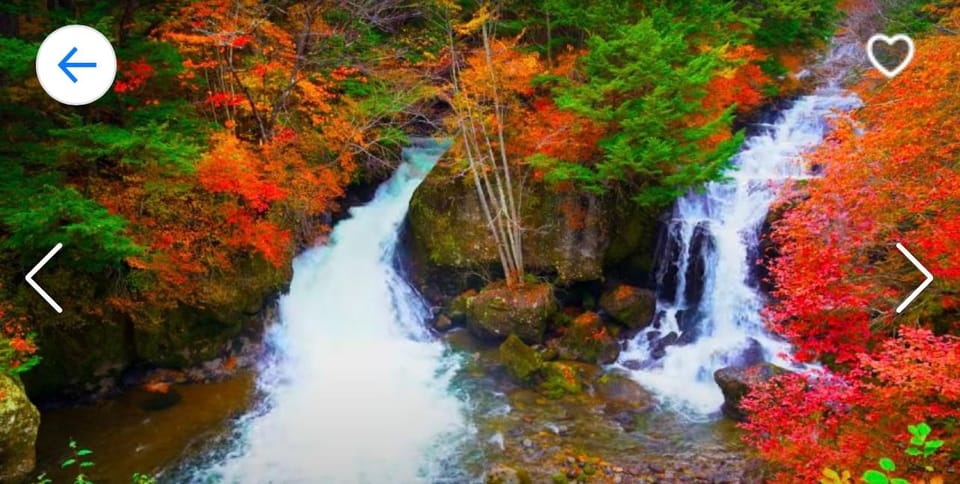 Nikko: Private Sightseeing Tour With UNESCO World Heritage - Kegon Falls