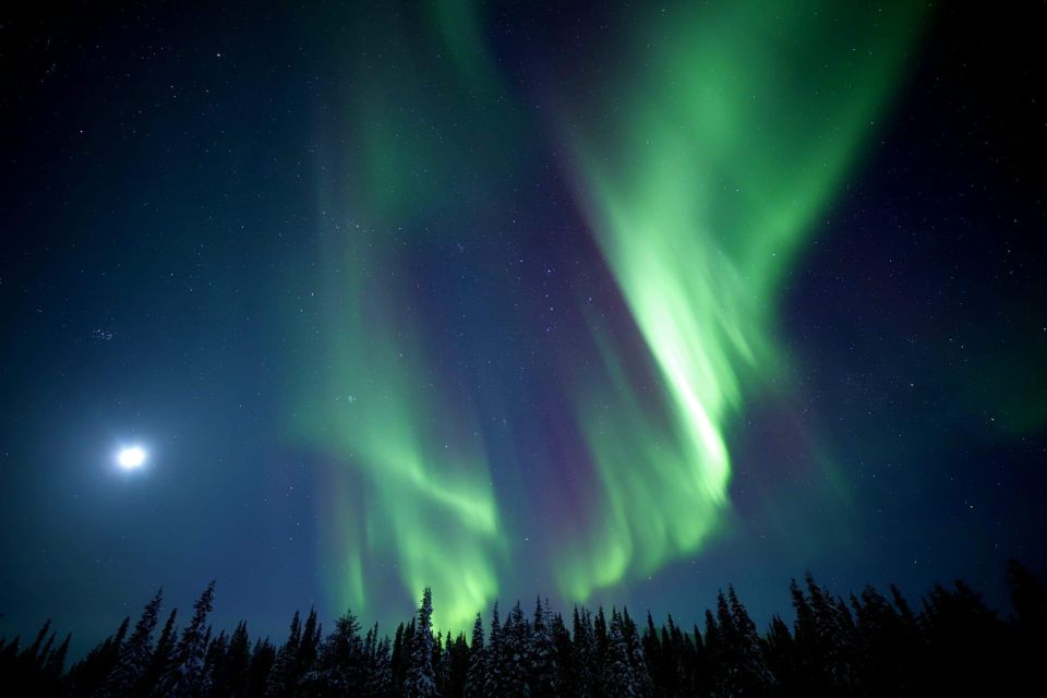 Northern Lights Hunting in Sonkamuotka - Additional Information