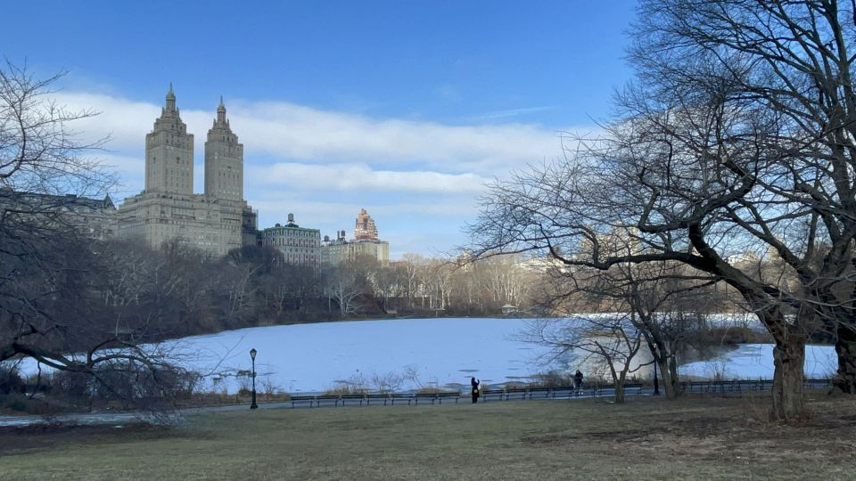 Official Exclusive VIP Horse Carriage Ride in Central Park - Frequently Asked Questions