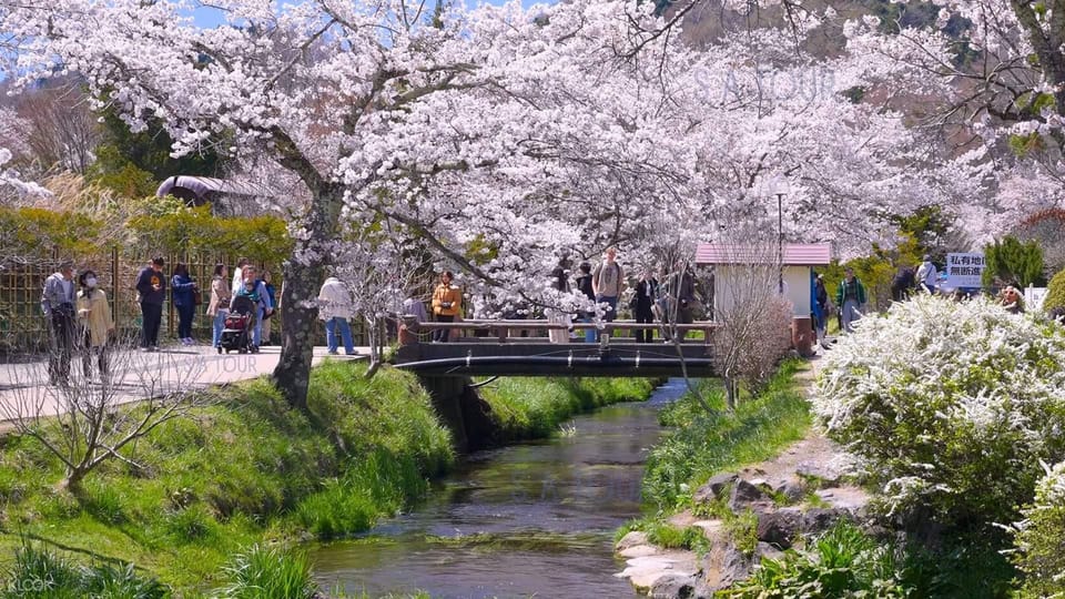 Oshino Hakkai, Ole Hot Spring in Mount Fuji One Day Tour - Scenic Landscapes and Photography