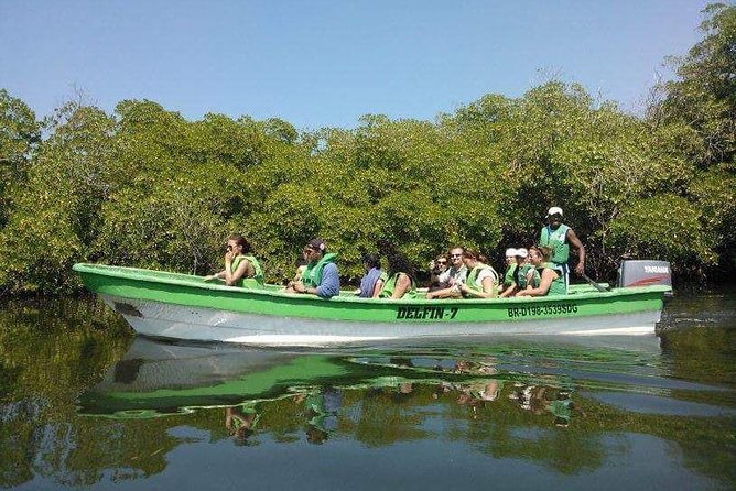 Paradise Island Cayo Arena & Mangroves From Puerto Plata (Full Day) - Customer Reviews