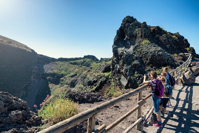 Pompeii, Herculaneum & Mt Vesuvius Private Tour From Naples - Additional Information