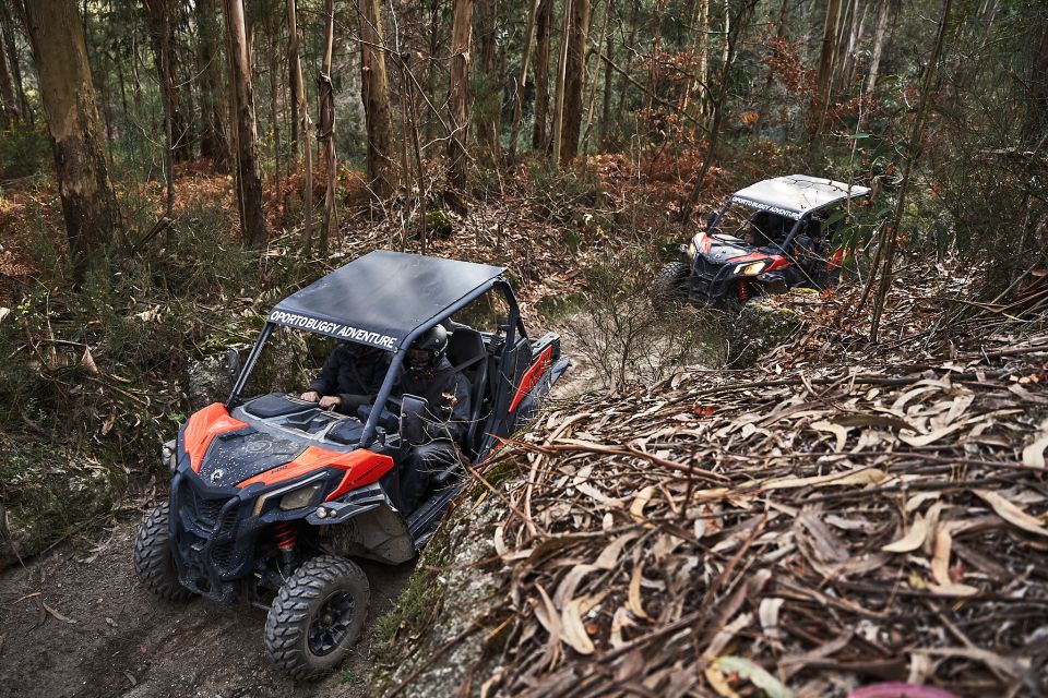 Porto: Extreme Tour by Oporto Buggy - Safety and Precautions