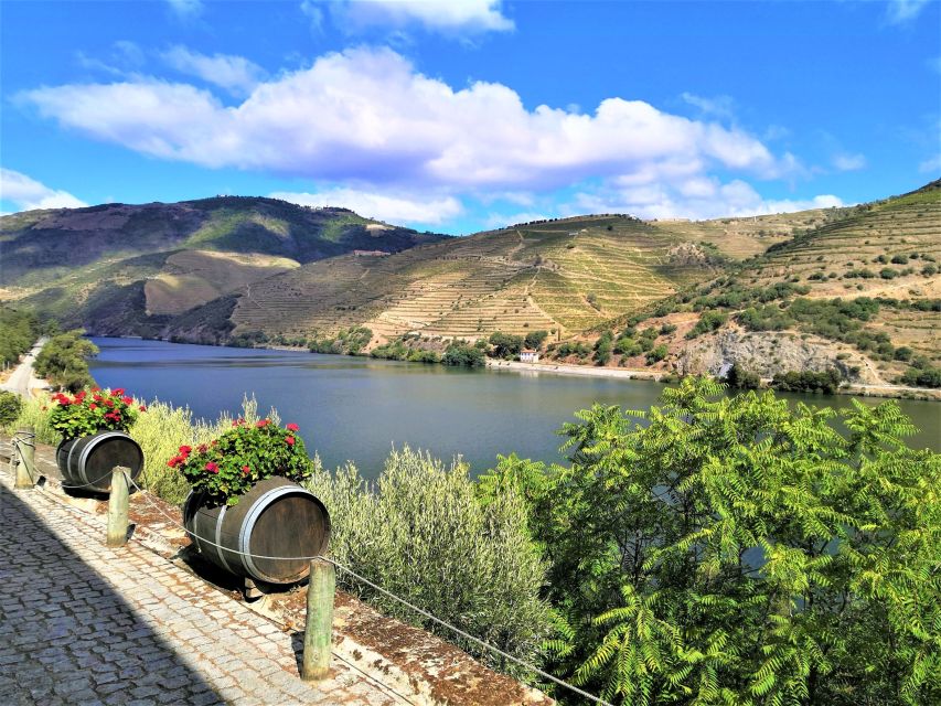 Porto: Private Tour Douro Valley/Winery 18th Century/Boat/Lunch - Booking and Reservations