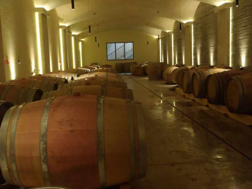 Private Exclusive Manousakis Winery and Vineyard Tour - Preparation and Recommendations