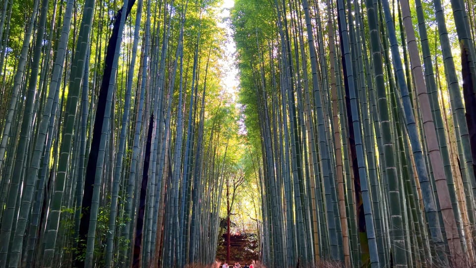 Private Kyoto Tour. Kyotos Spiritual Heartland - Nijo Castle Insight