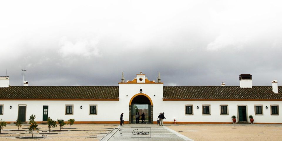 Private Luxury Wine & Food Tour in Alentejo - Booking and Cancellation