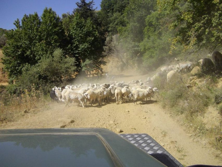 Rethymno Land Rover Safari in Southwest Crete - Frequently Asked Questions