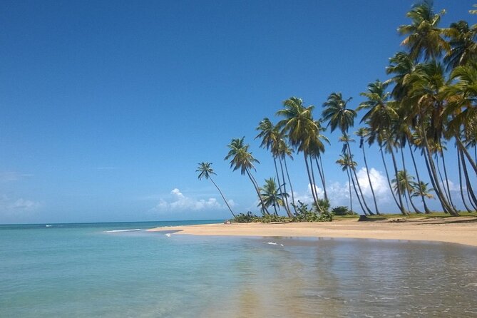 Round Mountain and Esmeralda Beach Tour From Punta Cana - Beach Horseback Riding