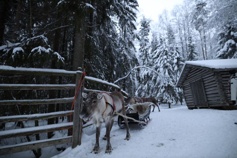 Rovaniemi: Husky and Reindeer Farm Visit With Sleigh Rides - Frequently Asked Questions