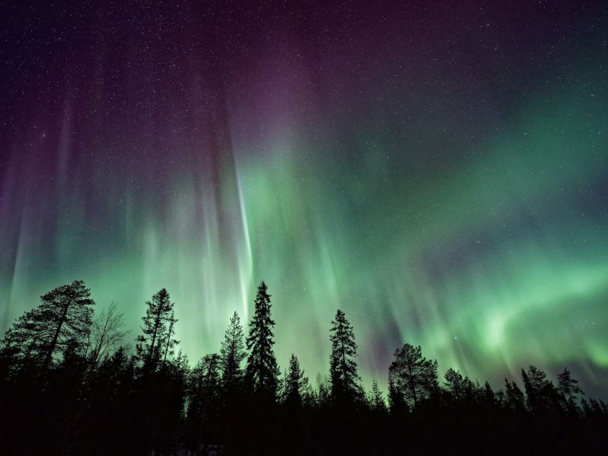 Rovaniemi: Private Tour With Guaranteed Northern Lights - Optimal Viewing Locations