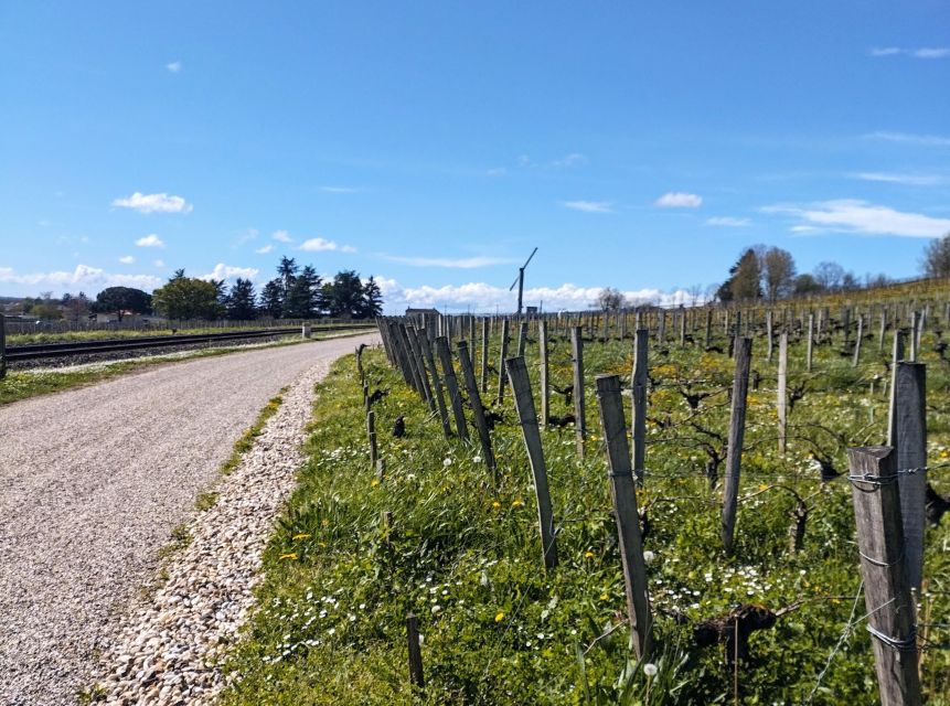 Saint-Émilion by Gravel Bike & Wine Tasting - Tour Suitability and Limitations