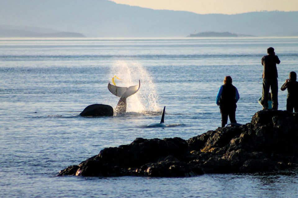 Santa Maria - Monterey: Pacific Coast Self-Driving Tour App - Booking and Availability