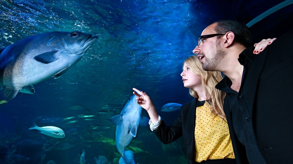 SEA LIFE Berlin Tickets - Directions and Location