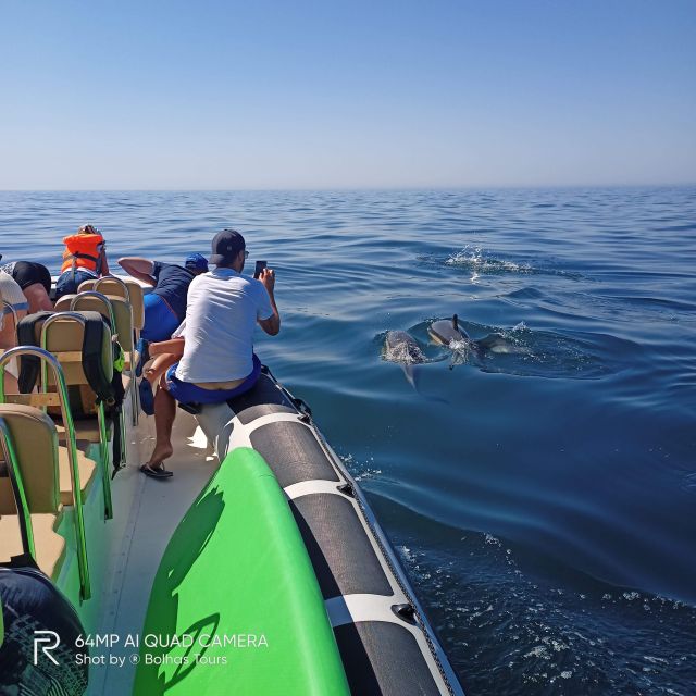 Sesimbra: Dolphin Watching Boat Tour With Biologist Guide - Packing Recommendations