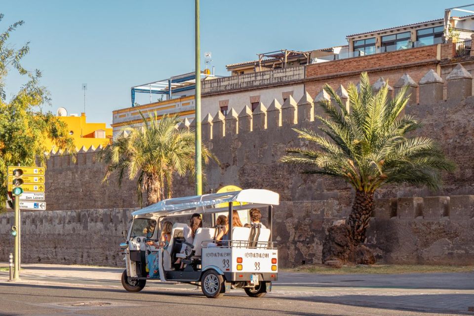 Seville: Private City Tour by Eco Tuk Tuk - Group Size