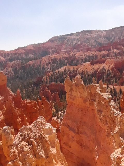 Small Group Tour Zion & Bryce Canyon National From Las Vegas - Pickup and Drop-off Locations